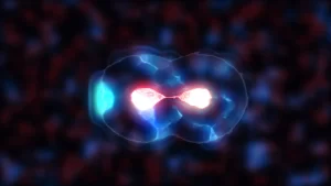 Stem Cell Renew cell-division