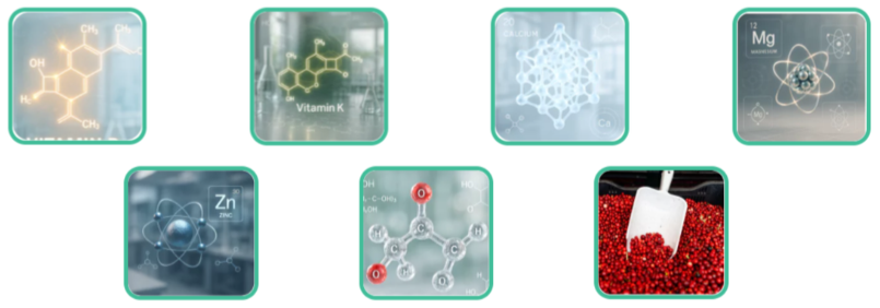 DentalPrime Ingredients