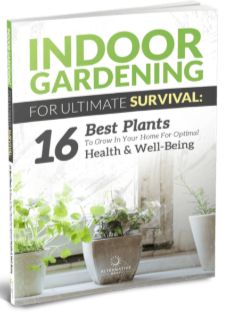 Mastering Microgreens Bonus 3