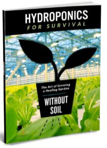Mastering Microgreens Bonus 4