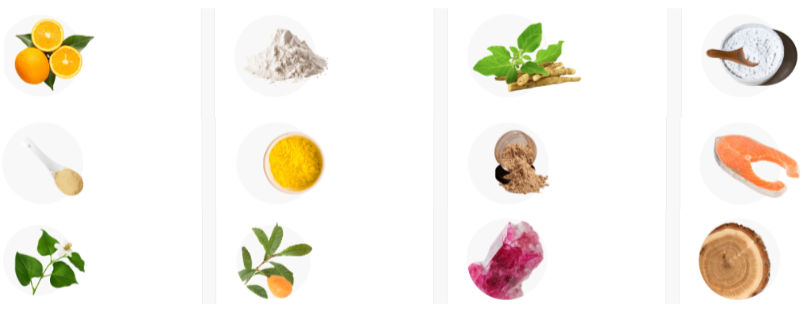 Purisaki 2in1 Detox + Vitamin Foot Patches Ingredients