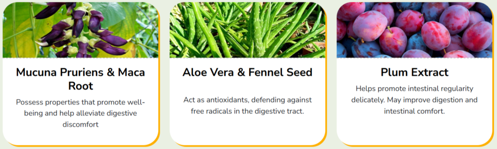 Vitaliflow Ingredients